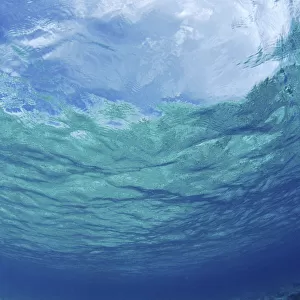 Underwater Ocean Looking Upward To Surface, Blue Sky Reflection