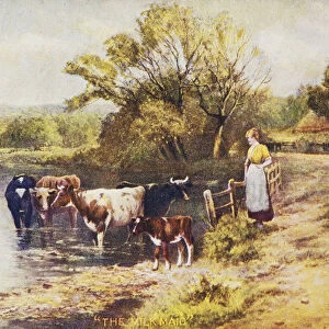 Vintage Greeting Card With Illustration Of Milkmaid Next To Cows In A Stream From The 19th Century
