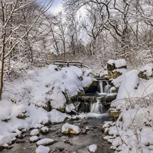 Waterfall Under Snow-Covered Rustic Bridge, Central Park; New York City, New York, United States Of America