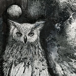 Wise Old Owl