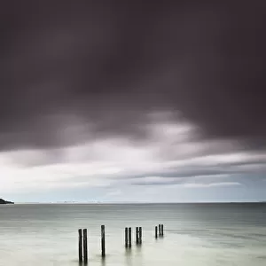 Wooden posts in a row in the shallow water along the coast under dark storm clouds; St. marys bay northumberland england
