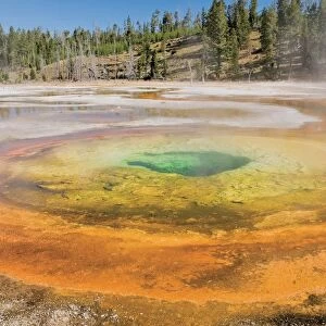 Yellowstone National Park, United States Of America; A Chromatic Pool