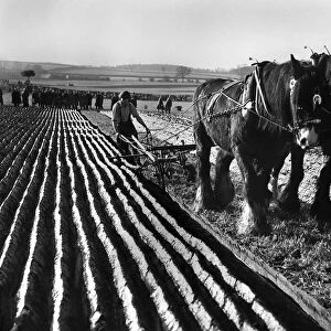 British National Championship Ploughing Match, Tadcaster