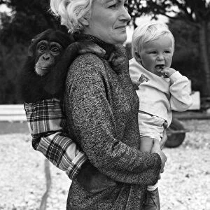Olga Dennver with baby Carl and chimp Fibber on her back. September 1969 P011904