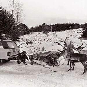 Santas Claus breaks down, as his sleigh gets stuck, his reindeers look on as a car