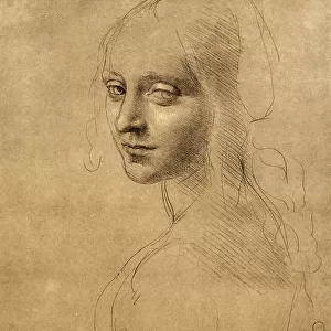 Study of an angel face of the Virgin of the Rocks, silver point drawing on yellowish paper by Leonardo da Vinci and preserved at the Royal Library of Turin