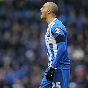 Brighton and Hove Albion v Bolton Wanderers Sky Bet Championship 13 / 02 / 2016
