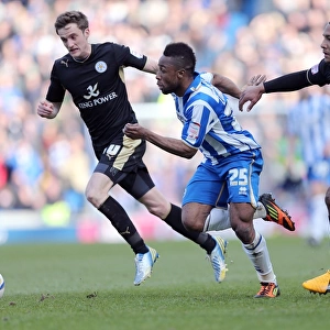 Brighton & Hove Albion vs. Leicester City (06-04-2013): A Nostalgic Look Back at the 2012-13 Home Season - Leicester City Match