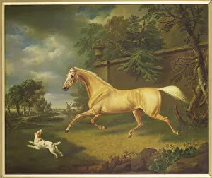A Palomino frightened by an approaching storm with a spaniel