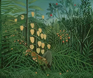 Tropical Forest: Battling Tiger and Buffalo, 1908 (oil on canvas)