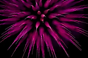 Abstract Purple Firework Burst Using Focus Pull; Twickenham, England Abstract Purple Firework Burst Using Focus Pull; Twickenham, England