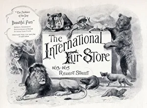 Advertisement For The International Fur Store From The Connoisseur A Magazine For Collectors Printed November 1902 Advertisement For The International Fur Store From The Connoisseur A Magazine For Collectors Printed November 1902