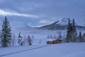 Cabin in a winter landscape during a moody morning; Tagish, Yukon, Canada Cabin in a winter landscape during a moody morning; Tagish, Yukon, Canada