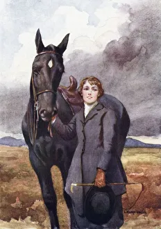 chose horse illustration lucy kemp welch book black beauty a