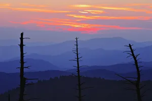 Dead Trees And Mountains At Dusk From Clingmans Dome, Great Smoky Mountains National Park Dead Trees And Mountains At Dusk From Clingmans Dome, Great Smoky Mountains National Park