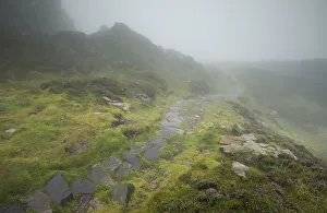 Fog along a stone path at the Slieve League cliffs in County Donegal, Ireland Fog along a stone path at the Slieve League cliffs in County Donegal, Ireland