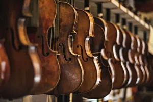 Repaired Violins And Violas On Racks In The Sound Post Repair Shop; Toronto, Ontario, Canada Repaired Violins And Violas On Racks In The Sound Post Repair Shop; Toronto, Ontario, Canada