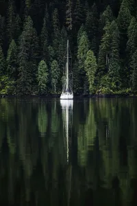 Sailboat in an estuary, Great Bear Rainforest, British Columbia, Canada Sailboat in an estuary, Great Bear Rainforest, British Columbia, Canada