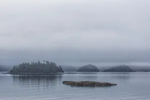 Small Islands Covered With Trees In The Fog; British Columbia, Canada Small Islands Covered With Trees In The Fog; British Columbia, Canada