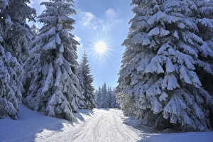 Snow Covered Winter Landscape with Ski Trail, Rennsteig, Grosser Beerberg, Thuringia, Germany Snow Covered Winter Landscape with Ski Trail, Rennsteig, Grosser Beerberg, Thuringia, Germany