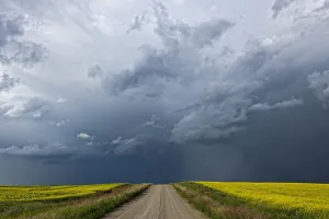 Storm Clouds Gather Over A Sunlit Canola Field And Road; Alberta, Canada Storm Clouds Gather Over A Sunlit Canola Field And Road; Alberta, Canada
