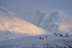 Warm light reflecting on the snow covered mountains near Whitehorse at sunset, Yukon, Canada Warm light reflecting on the snow covered mountains near Whitehorse at sunset, Yukon, Canada